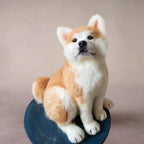 Handmade Custom Pet Plush Portrait Dog – Crafted Tribute to Your Beloved Pet