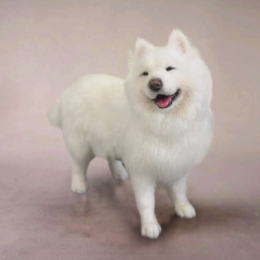 Handmade Custom Pet Plush Portrait Dog – Crafted Tribute to Your Beloved Pet