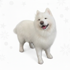 Custom 3D Needle Felted Dog Replica - Personalized Stuffed Animal from Your Pet's Photos