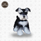 Custom 3D Needle Felted Dog Replica - Personalized Stuffed Animal from Your Pet's Photos